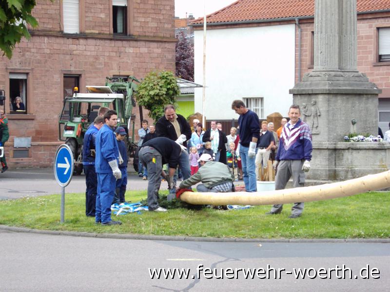 maibaum_2009_ 011.jpg